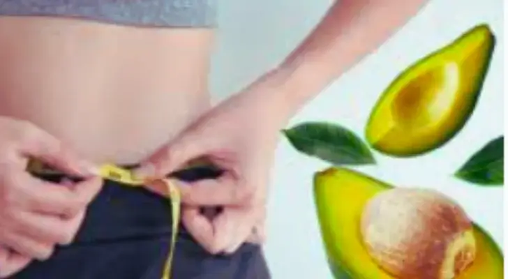 can avocado grow hydroponically. avocados for weight loss.