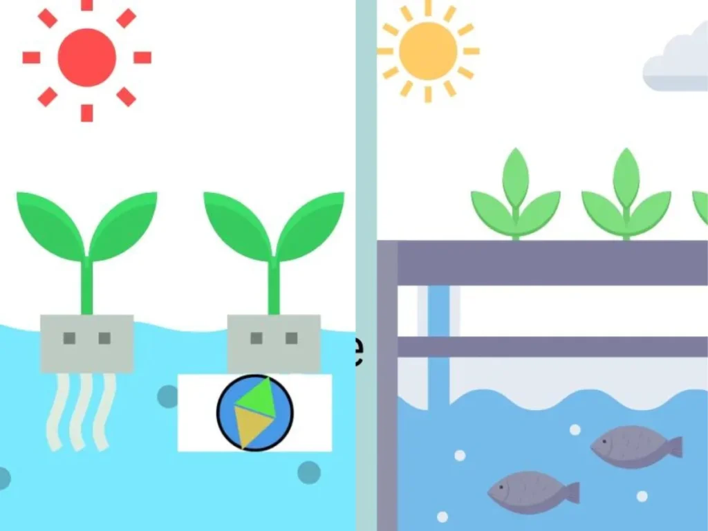 aquaponics vs hydroponics two systems