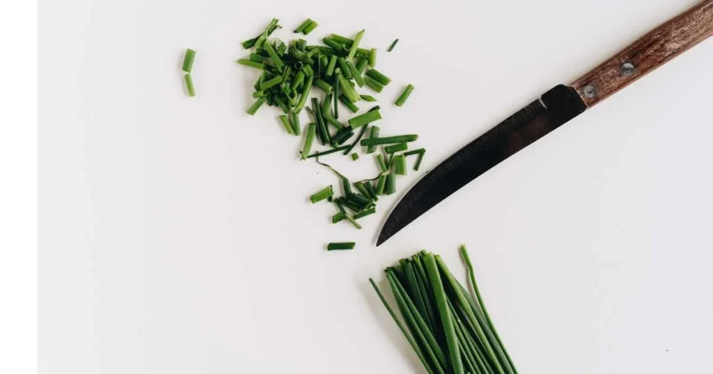 Image: Chives Plant chopped leaves.
Keyword: 10 best herbs for hydroponics.