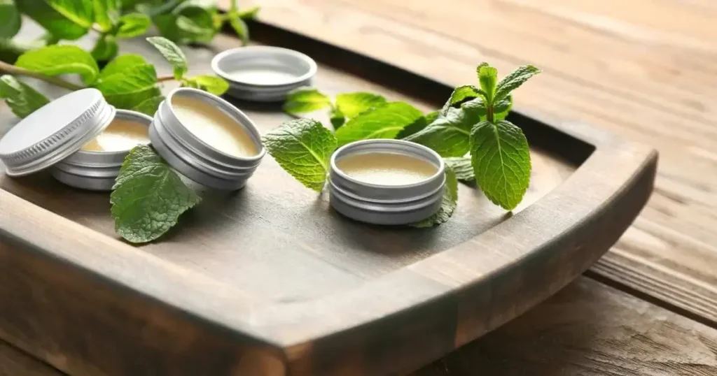 Image: Lemon Balm Plant with leaves and and balm on wooden tray..
Keyword: 10 best herbs for hydroponics.