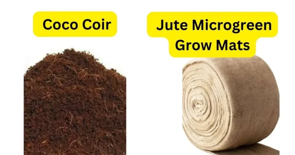 Hydroponic Microgreens. Image showing two growing media, coco coir and jute microgreen grow mats